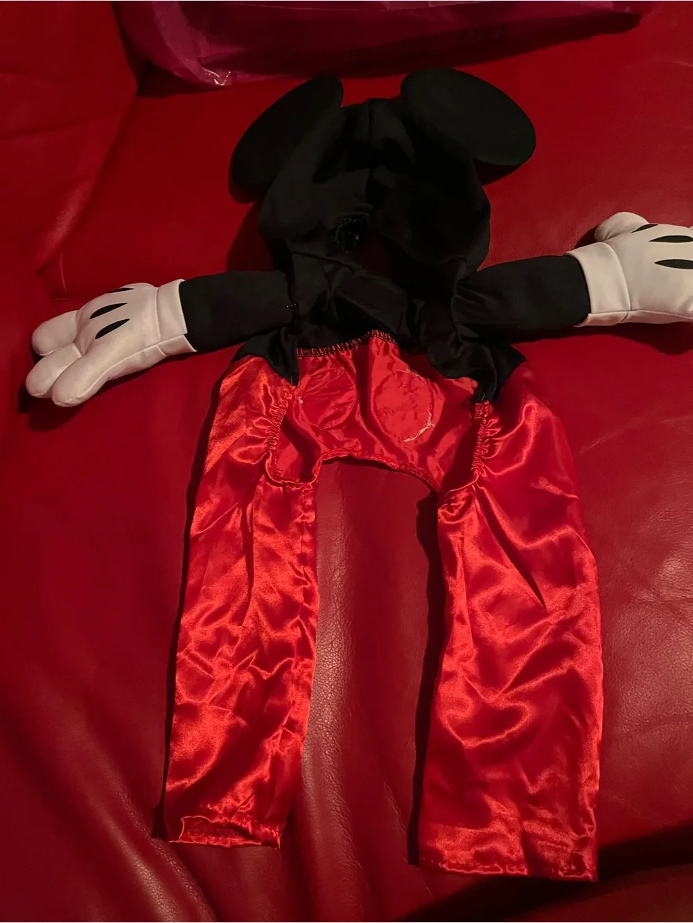 Dog Mickey Mouse Costume